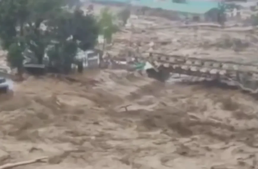 Flash flooding triggered by heavy rainfall caused extensive damage at the NEEPCO Colony in Posa, Yazali, Arunachal Pradesh, on June 24, 2026