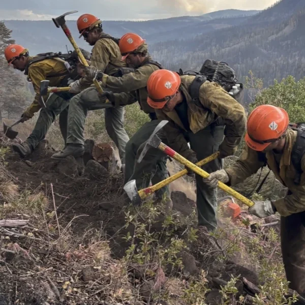 Los Padres Interagency Hotshot Crew is constructing direct fireline on the southwest portion of this fire above Birch Lake