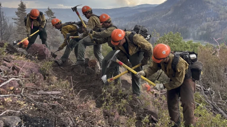 Los Padres Interagency Hotshot Crew is constructing direct fireline on the southwest portion of this fire above Birch Lake