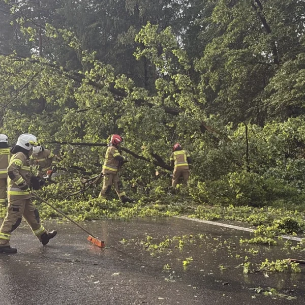 Polish fire service officers clearing tornado damage left due to a tornado in May by severe storms in southern Poland on May 30, 2026. Credit: Państwowa Straż Pożarna