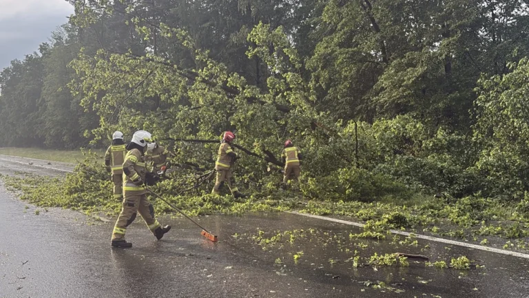 Polish fire service officers clearing tornado damage left due to a tornado in May by severe storms in southern Poland on May 30, 2026. Credit: Państwowa Straż Pożarna
