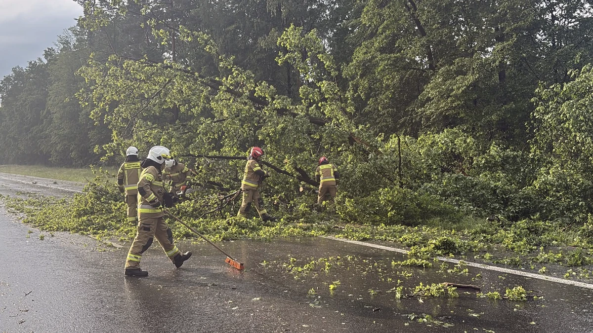 Polish fire service officers clearing tornado damage left due to a tornado in May by severe storms in southern Poland on May 30, 2026. Credit: Państwowa Straż Pożarna