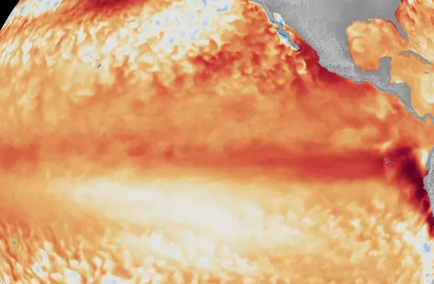 Satellite imagery showing the difference from average sea surface temperatures at the equator in the tropical Pacific Ocean