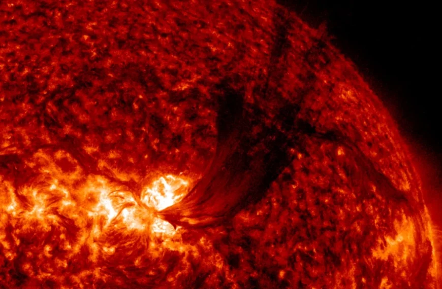 cme produced by m7.7 solar flare on june 3 2026
