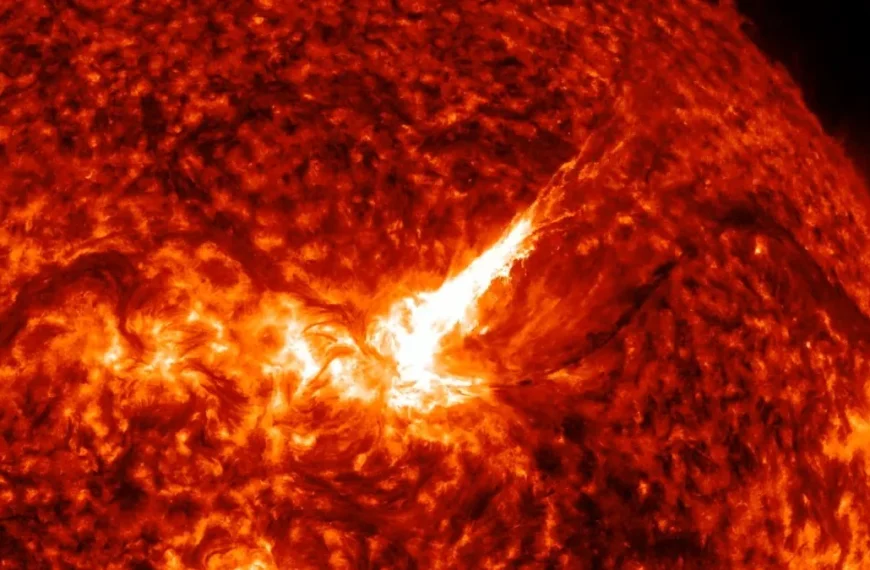 cme produced by m7.7 solar flare on june 3 2026 f