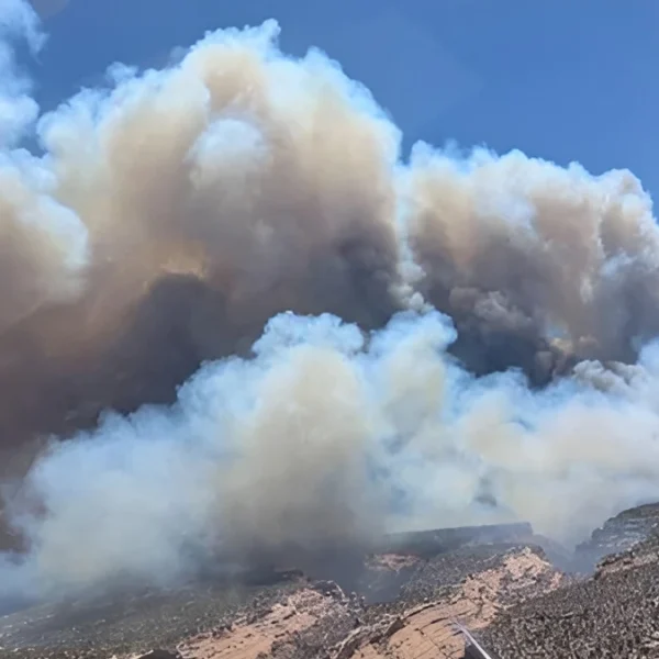 A photo of what's become the Snyder Fire, a combination of several fires that ignited Saturday in western Colorado and eastern Utah. Credit: U.S. Bureau of Land Management