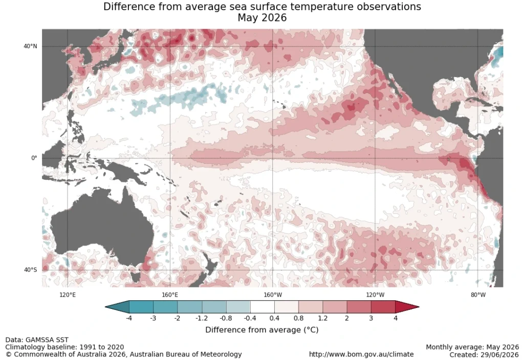 Monthly average sea surface temperature anomalies across the Pacific Ocean for May 2026, showing above-average temperatures across much of the equatorial Pacific consistent with established El Niño conditions