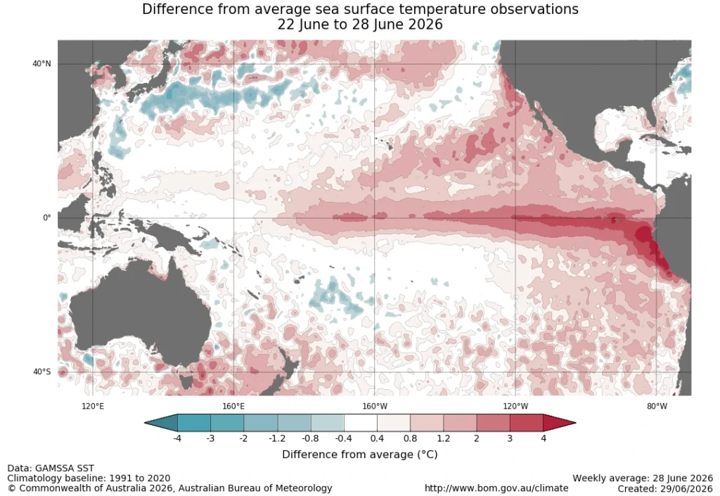 Weekly average sea surface temperature anomalies across the Pacific Ocean for June 22 to 28, 2026, showing continued warming along the equatorial Pacific as El Niño strengthened