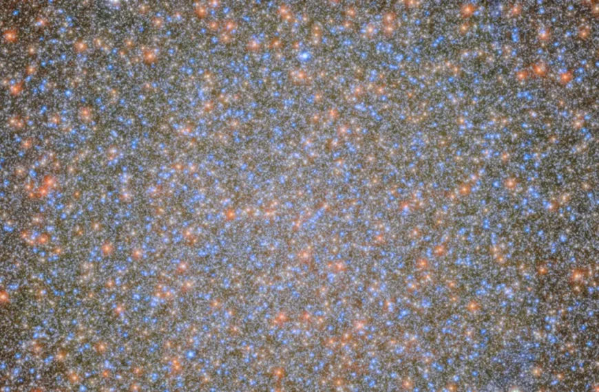 An image of the globular cluster Omega Centauri, a collection of myriad stars colored red, white, and blue on the black background of space