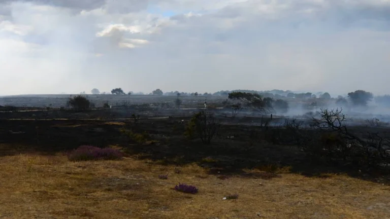 Area burnt by a major wildfire Dunwich Heath, England on July 30, 2026. Credit: Suffolk Fire and Rescue