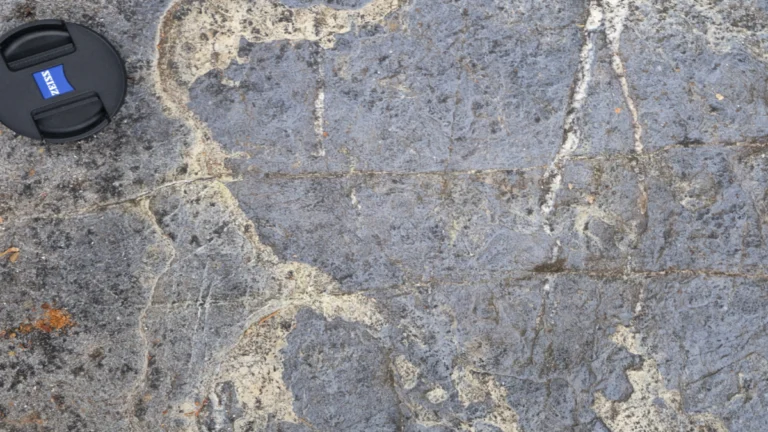 Close-up of a rock sampled from New Caledonia