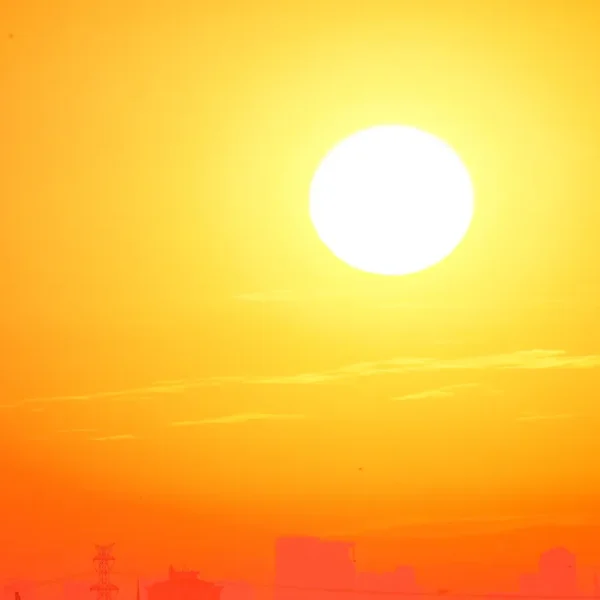 Czech Heatwave representative image june 29, 2026