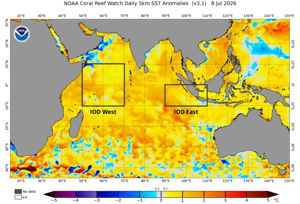 Daily sea surface temperature anomalies in the Indian Ocean on July 8, 2026