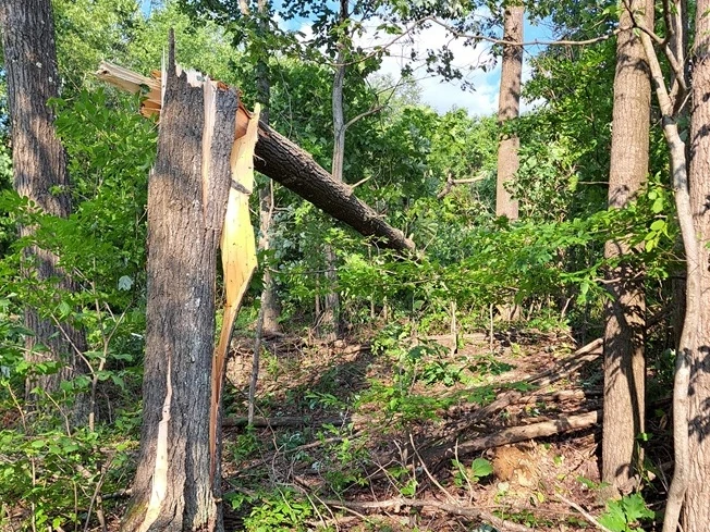 EF1 tornado damage -houthzdale-pennsylvania-july 18, 2026-