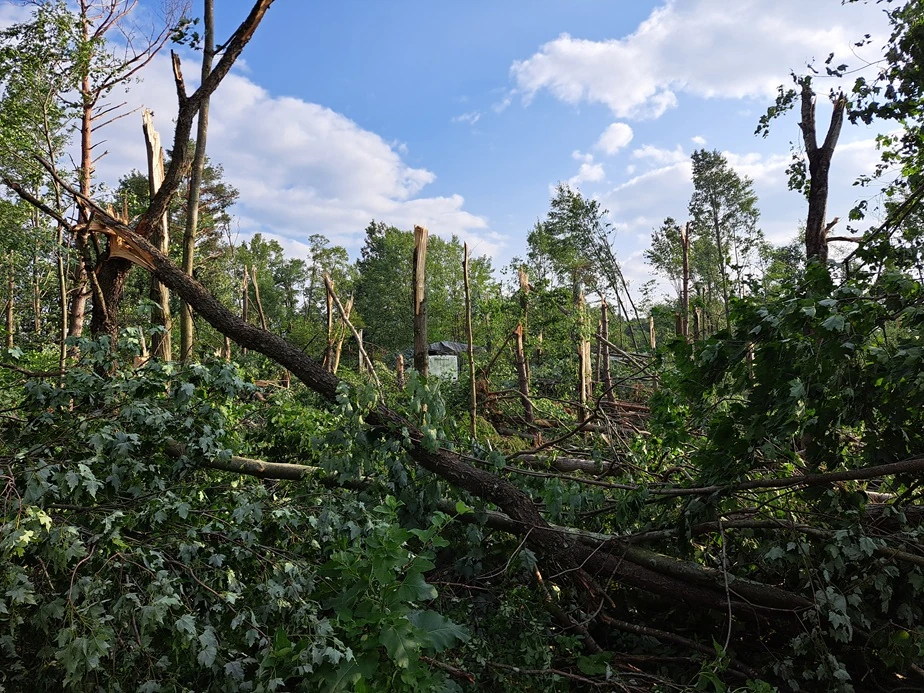 EF1 tornado damage -houthzdale-pennsylvania-july 18, 2026- 2