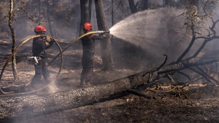 Firefighters battling wildfires in France on July 25, 2026. Credit: President Emmanuel Macron