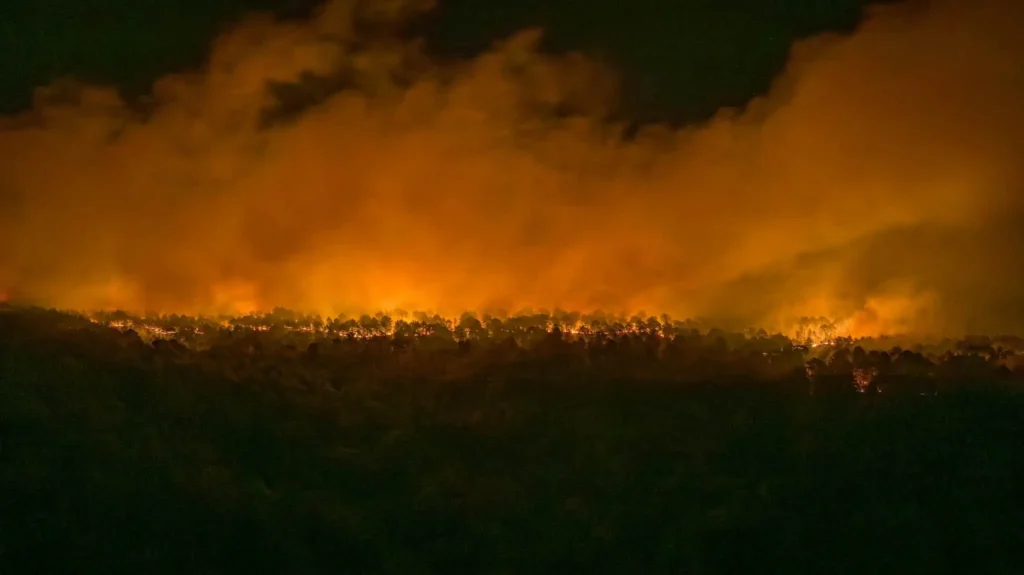 Smoke rises from the Fontainebleau wildfire in Seine-et-Marne, France, July 13, 2026