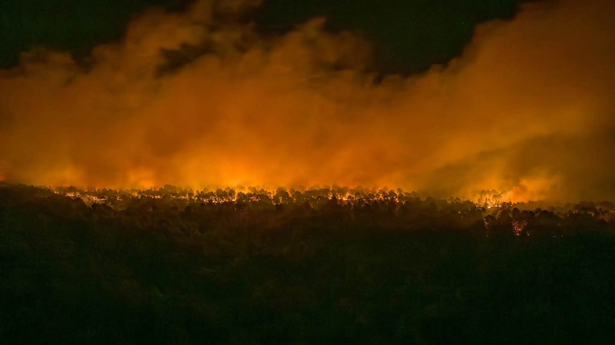 Smoke rises from the Fontainebleau wildfire in Seine-et-Marne, France, July 13, 2026