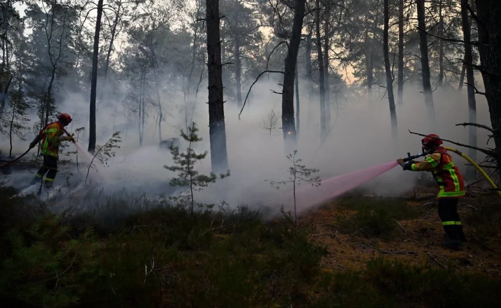 Smoke rises from the Fontainebleau wildfire in Seine-et-Marne, France, July 13, 2026