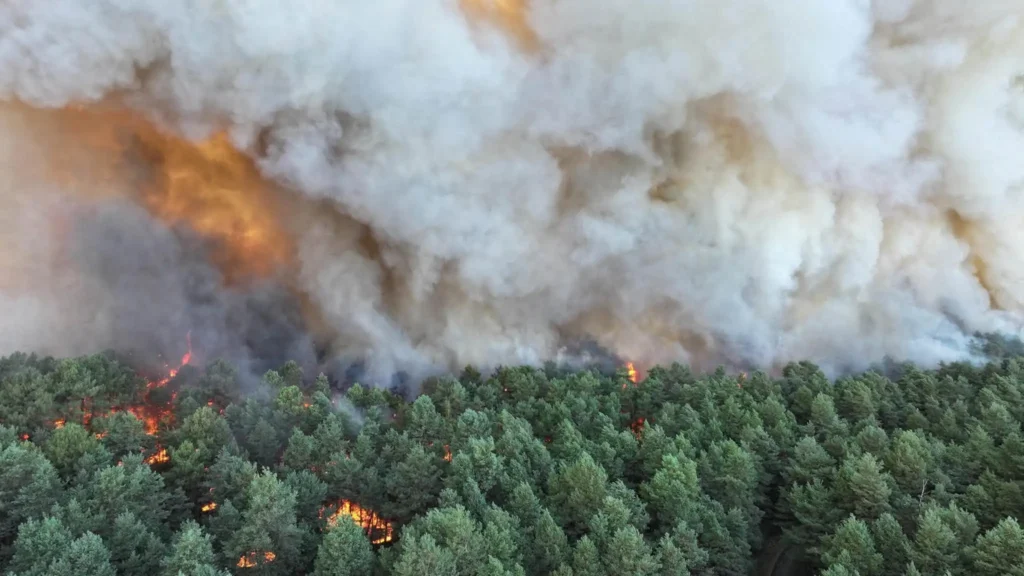 Aerial firefighting operations over the Fontainebleau wildfire in Seine-et-Marne, France