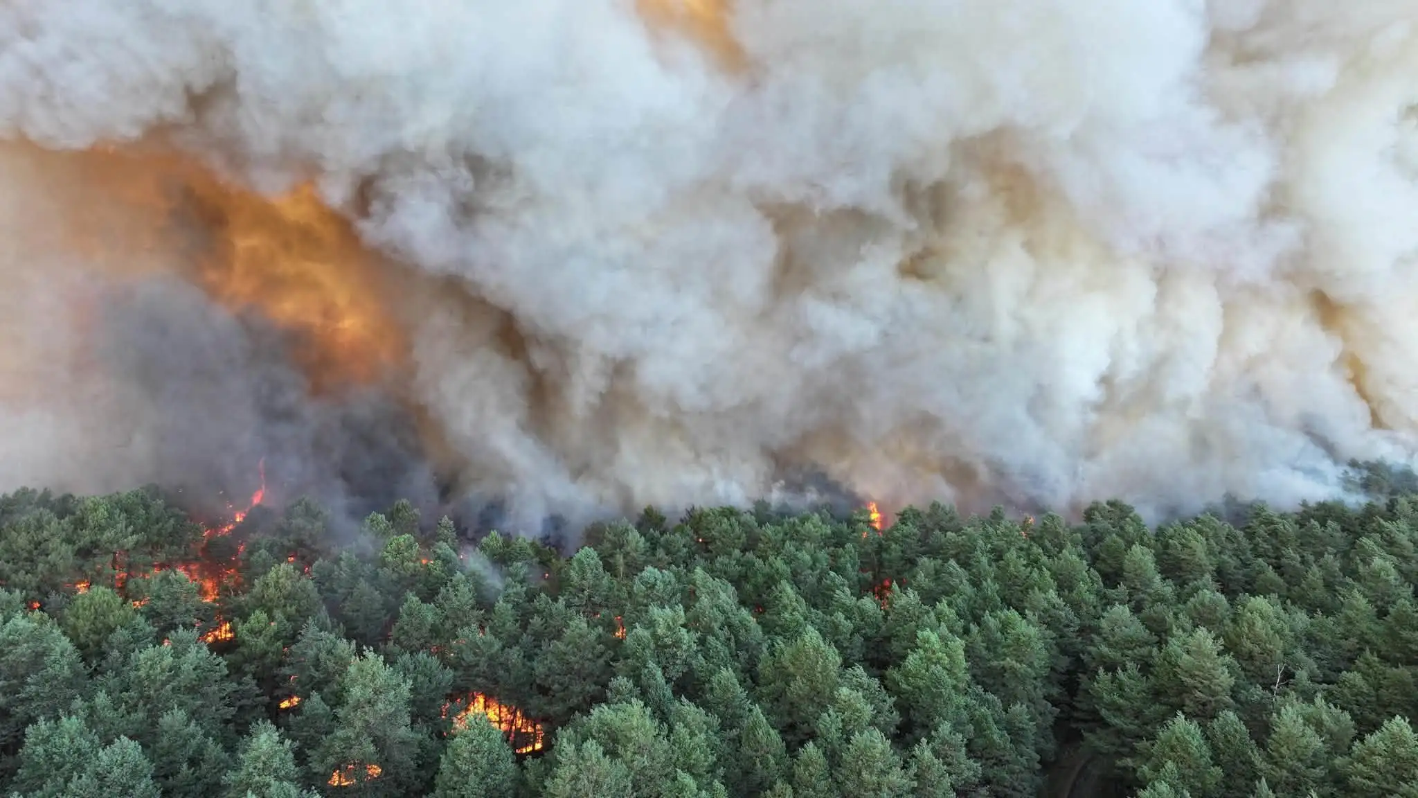 Aerial firefighting operations over the Fontainebleau wildfire in Seine-et-Marne, France