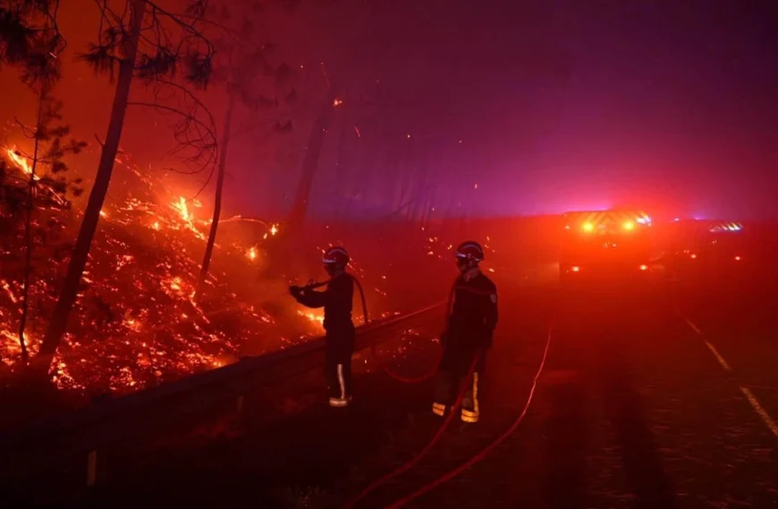 Firefighters battle the Fontainebleau wildfire near Paris, France, July 13, 2026