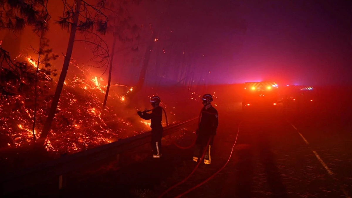 Firefighters battle the Fontainebleau wildfire near Paris, France, July 13, 2026