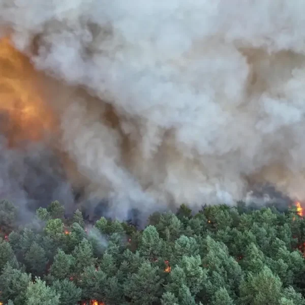 Fontainebleau forest wildfire france july 12 2026