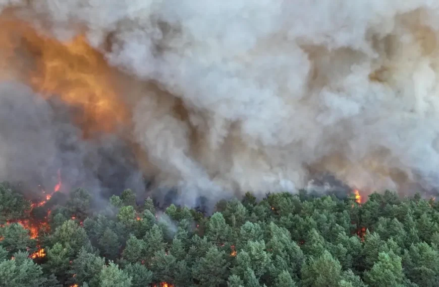 Fontainebleau forest wildfire france july 12 2026