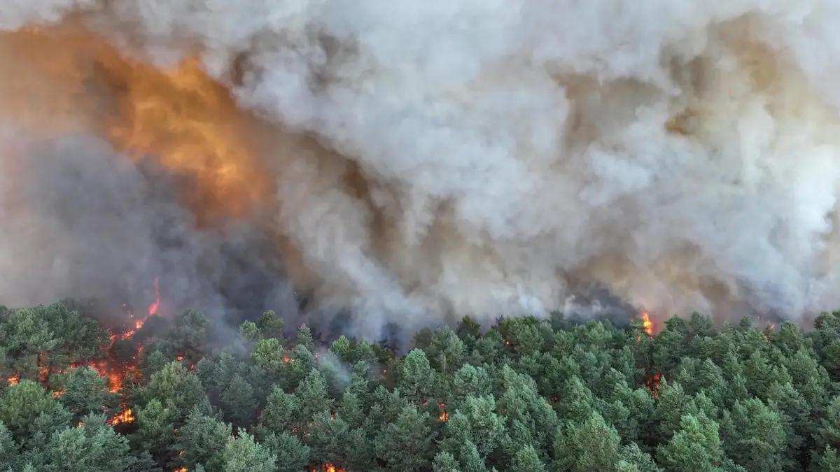 Fontainebleau forest wildfire france july 12 2026