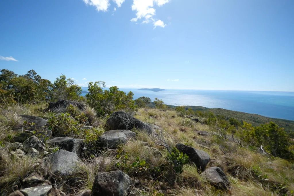 Some of the rocks from New Caledonia that were sampled