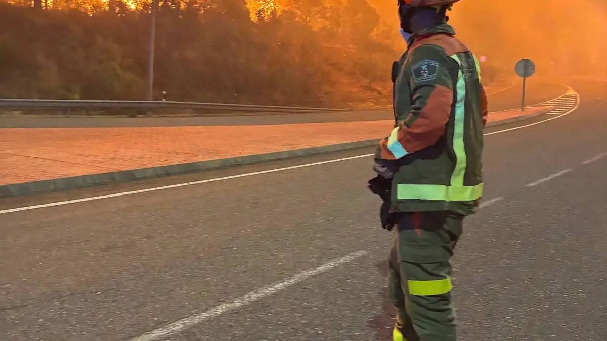 Wildfire crews battle fast-moving fires in the Madrid region and neighboring Ávila, Spain