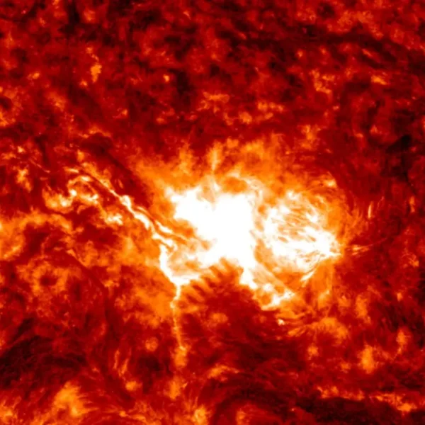 x1.1 solar flare june 30 2026 sdo aia 304