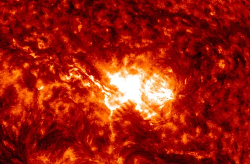 x1.1 solar flare june 30 2026 sdo aia 304