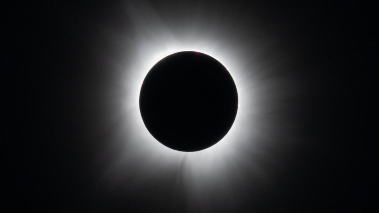 A total solar eclipse was seen in Dallas, Texas, on Monday, April 8, 2024.