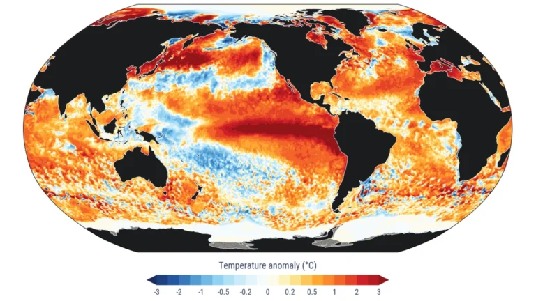 climpulse_map_era5_download_daily_sst_anomaly_20260822
