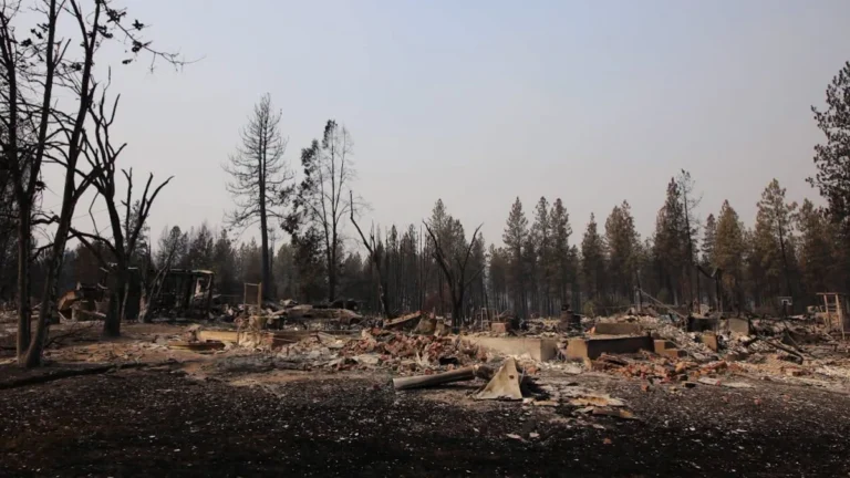 Damage caused by Old Trails Fire in Washington