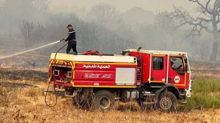 Firefighters suppressing deadly wildfires in Algeria on August 27, 2026.