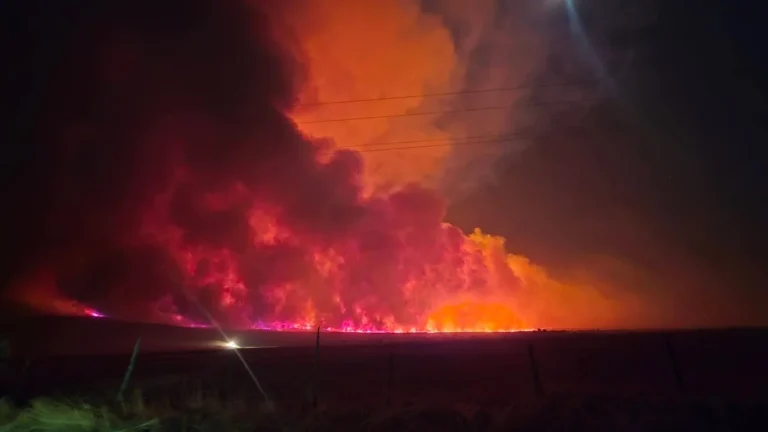 Widemouth 2 Fire burning near Fillmore, Utah, on August 2, 2026.