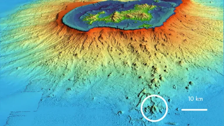 In May 2019, data from the MAYOBS scientific campaign showed that the submarine volcano, located about 50 km (31 miles) from Mayotte, had built an edifice just over 800 m (2 625 feet) high and was showing intense activity at a depth of about 3 500 m (11 483 feet)