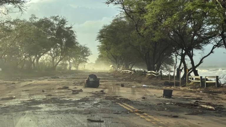 Damage left behind on North Kihei Road on September 8, 2026 following Hurricane Lowell's close approach to Hawaii. Credit: HIDOT