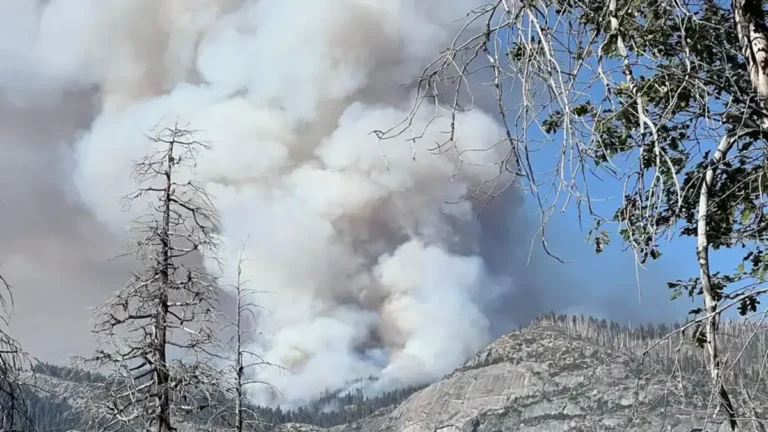 Dome fire