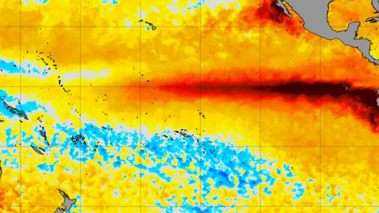 NOAA coral reef watch 5km sst anomalies-september 1, 2026