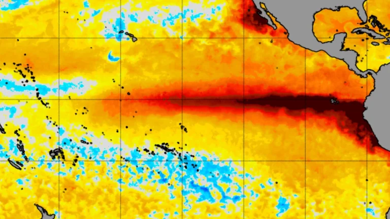 NOAA coral reef watch 5km sst anomalies-september 9, 2026 shows the strengthening El Nino