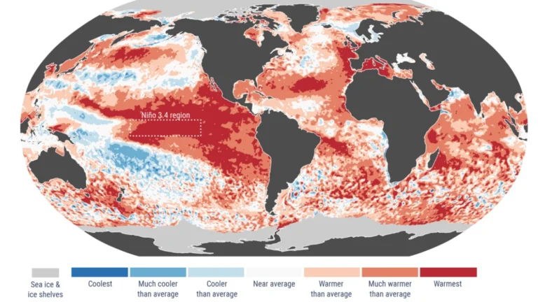 SST anomalies and extremes-aug-2026-c3s-ecmwf
