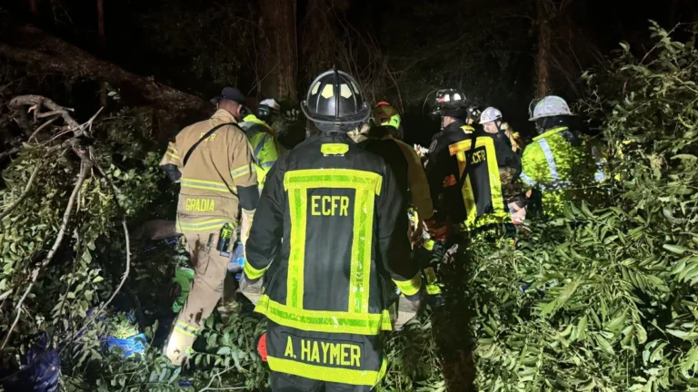 Fire operatives clearing trees downed Escambia County, Florida following Hurricane Isaias's landfall on October 9, 2026