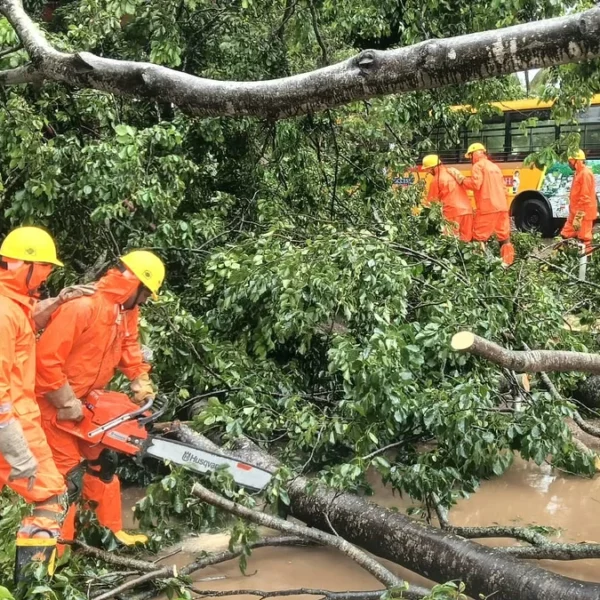 NDRF operatives removing fallen trees at Nakapalli, Anakapalli District, Andhra Pradesh after Cyclone Arnab's landfall on October 28, 2026
