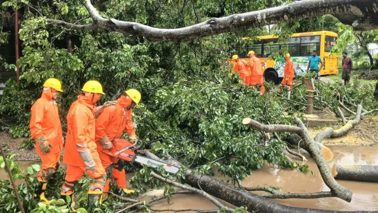 NDRF operatives removing fallen trees at Nakapalli, Anakapalli District, Andhra Pradesh after Cyclone Arnab's landfall on October 28, 2026