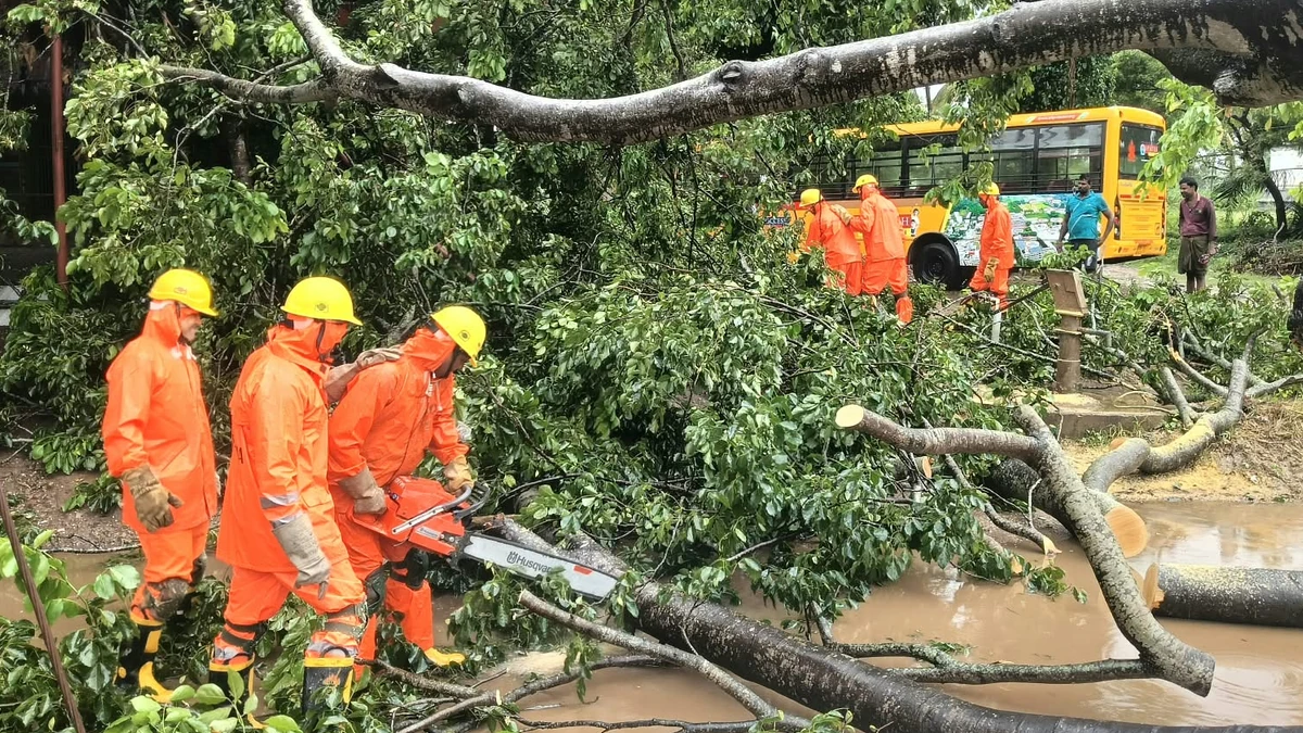 NDRF operatives removing fallen trees at Nakapalli, Anakapalli District, Andhra Pradesh after Cyclone Arnab's landfall on October 28, 2026