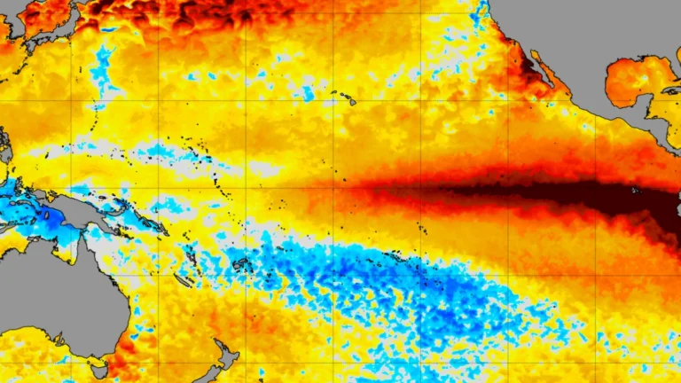 NOAA-5km-coral-reef-sst-anomalies-oct14-2026